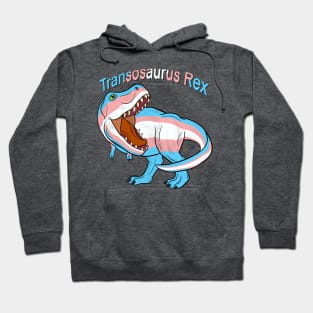 Transosaurus Rex (text) (scaled) - Transgender Pride Hoodie